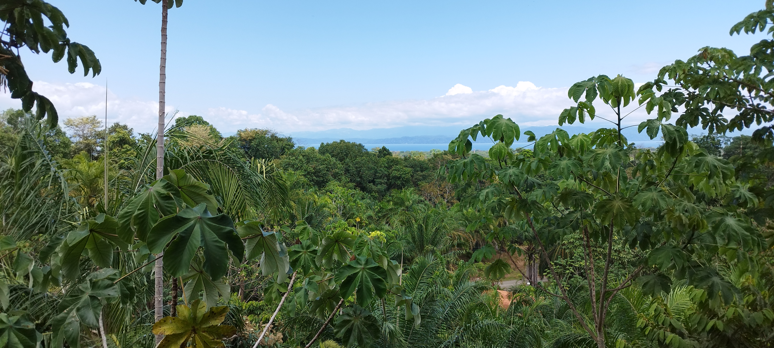 Moving to Costa Rica with Family: Why We Sold Everything and decided to Start Over